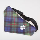 MacEwan Modern Tartan Pet Bandana