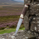 Staghorn Damascus Sgian Dubh With Walnut