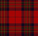 Luxury Lightweight Scarf in your choice of Tartan