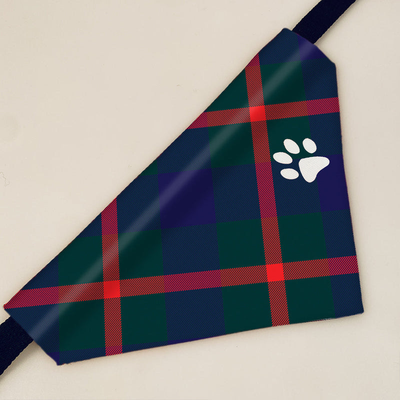 Agnew Tartan Pet Bandana