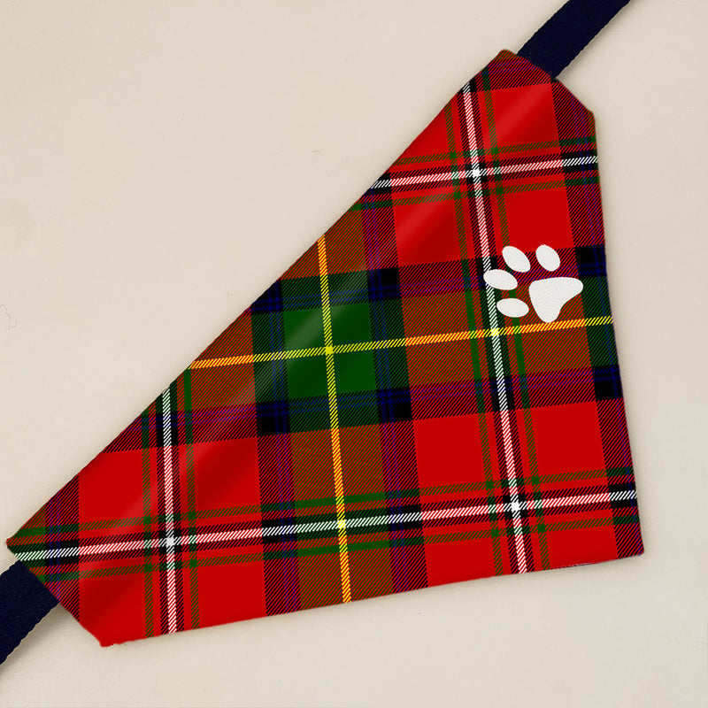 Boyd Modern Tartan Pet Bandana