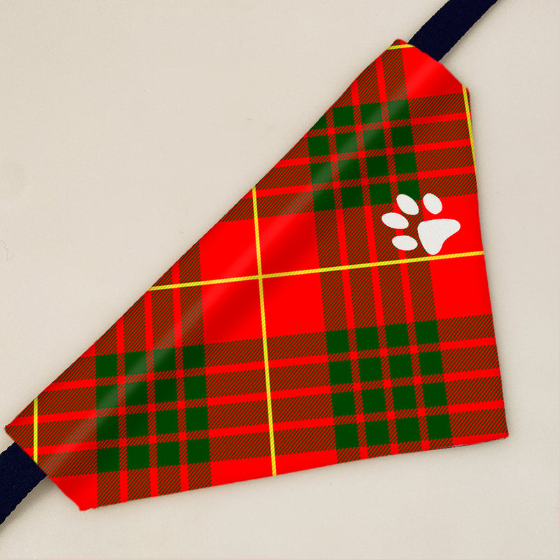 Cameron Modern Tartan Pet Bandana