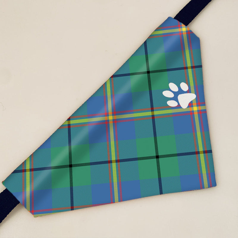 Carmichael Ancient Tartan Pet Bandana