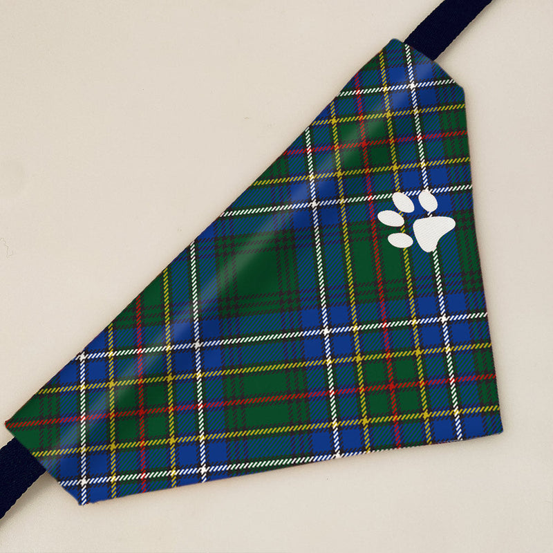 Cockburn Ancient Tartan Pet Bandana