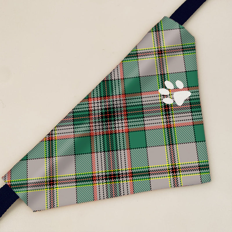 Craig Ancient Tartan Pet Bandana