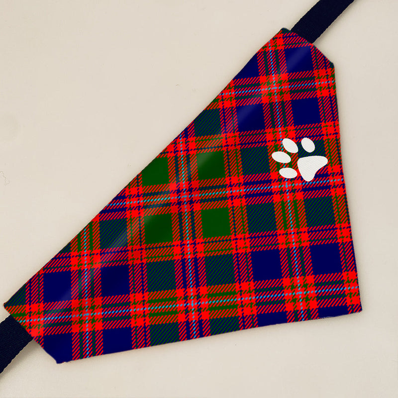 MacIntyre Modern Tartan Pet Bandana