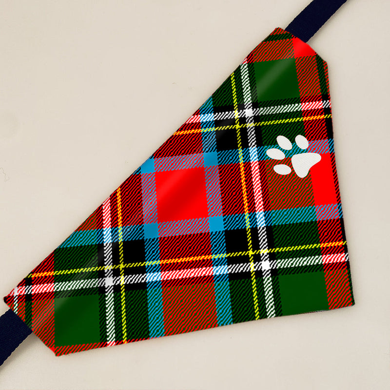 Stewart Royal Modern Tartan Pet Bandana