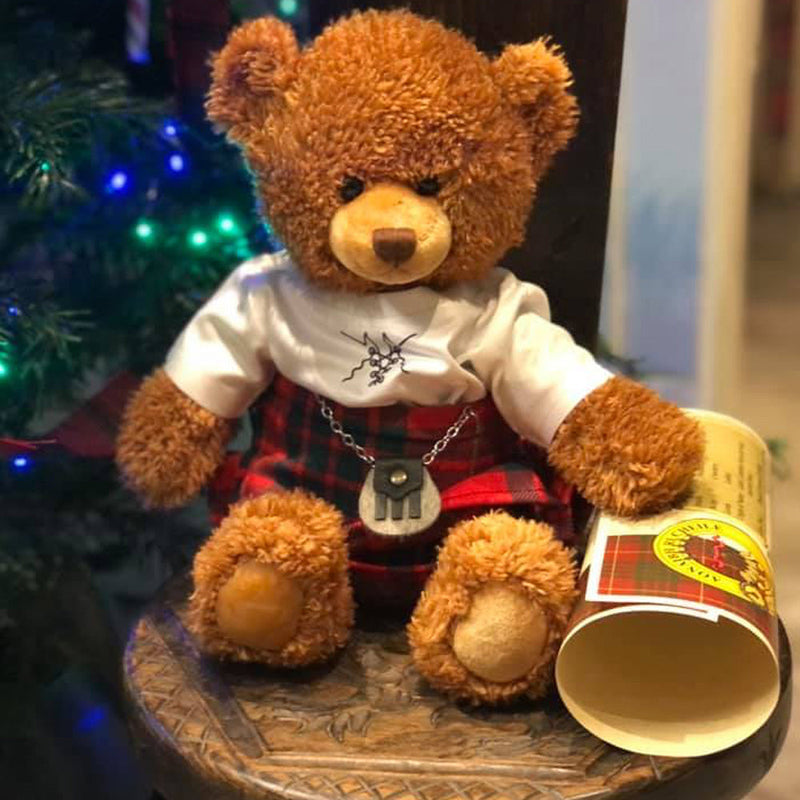 Wee Callum Ancestral Bear in Cameron Modern Tartan